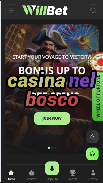 Casina Nel Bosco - Forest-Themed Casino-casinoorder.vip